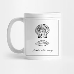 Atlantic Calico Scallop. Black and white hand-drawn illustration. Mug